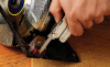 Мультитул Super Tool 300, 19 инструментов, 11,5 см (black; чехол нейлон)